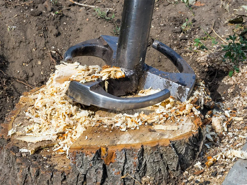 Photo of a tree stump being ground and removed in NWA