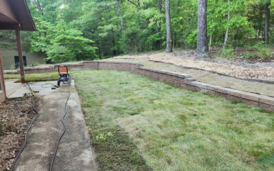 Sod Project Turns into Yard Makeover