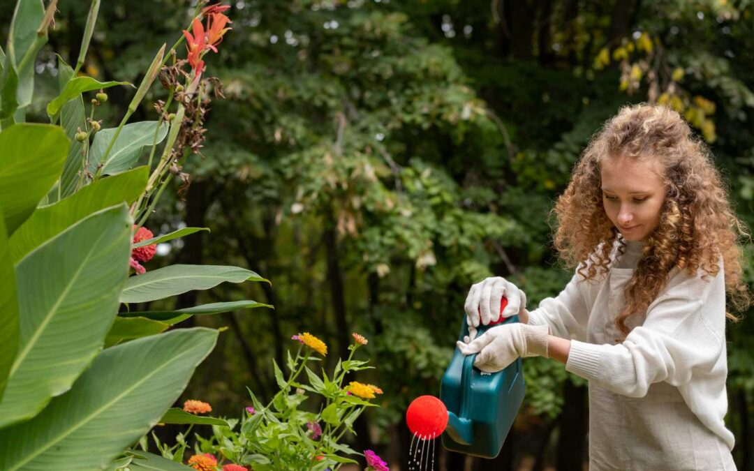 Unearthing Beauty: Landscaping Trends in Northwest Arkansas with GNG Underground